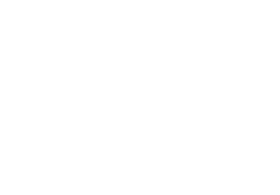 Weißes VdF Logo auf schwarzem Hintergrund