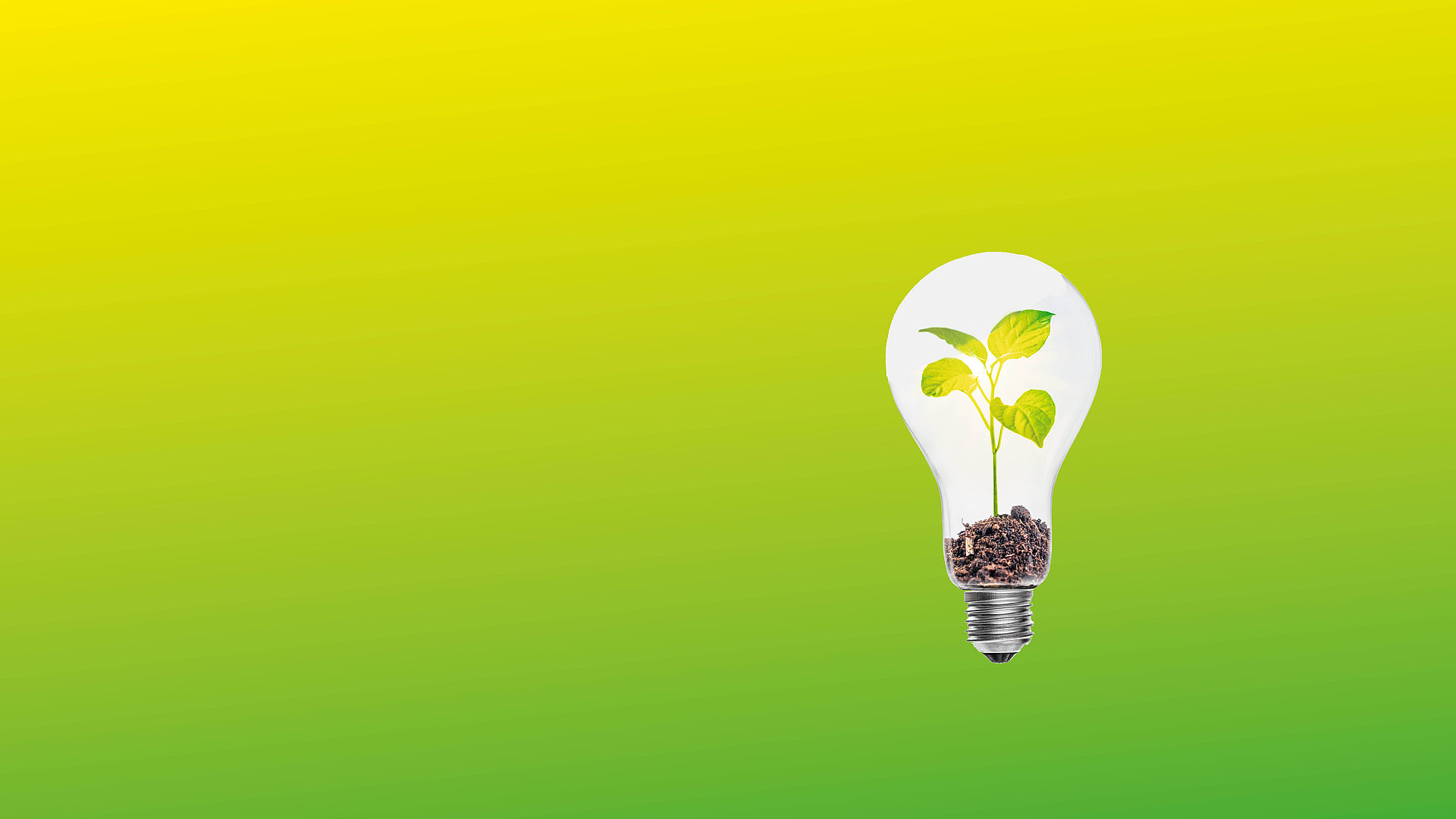 Glühbirne mit einer Pflanze im Inneren vor einem von gelb in grün verlaufenden Hintergrund.